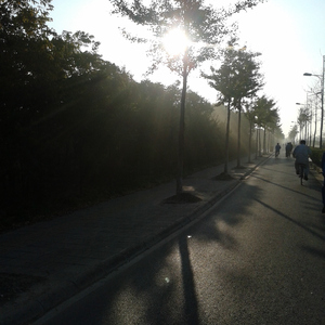 娇妻被黑人狂躁12次
